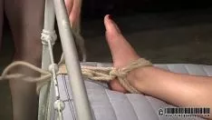 تشغيل ترويض حيوان أليف مصنوع من الجلد