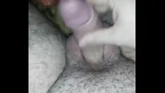 Odtwórz O pulă frumoasă
