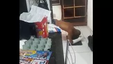 Jouer Uomo vagabondo con organismo spazzato via braccio eaton nella preparazione delle gambe.