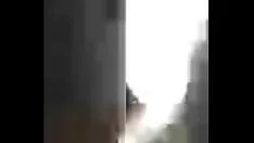 Reproduzir Esse senso de gatinho molhado é bom
